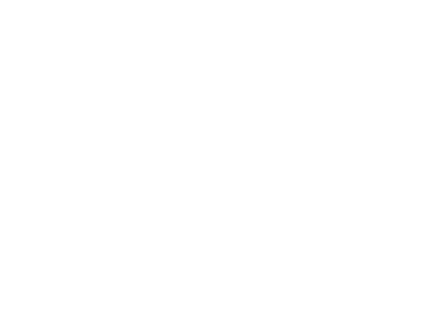 Hopkins County Fair